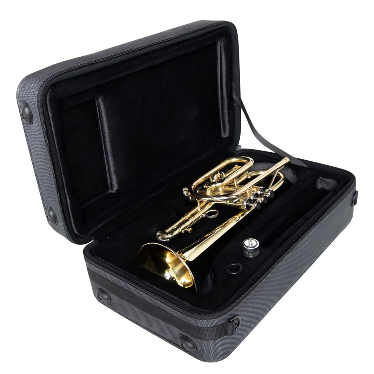 Gator GL-CORNET-23 Adagio Series Shaped EPS Polyfoam Lightweight Case for Cornet