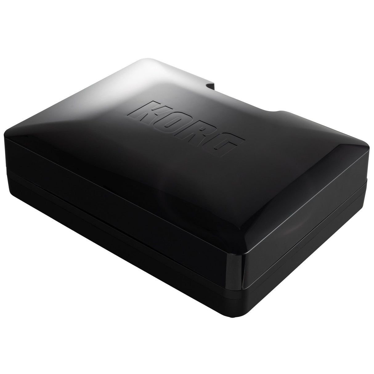 KORG handytraxx tube Portable Record Player