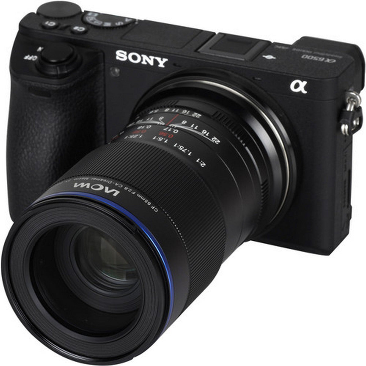 Venus Optics Laowa 65mm f/2.8 2x Ultra Macro APO Lens Mount