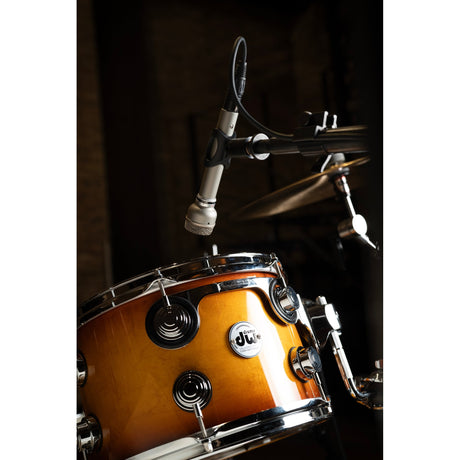 Warm Audio WA-19 Dynamic Cardioid Studio Microphone