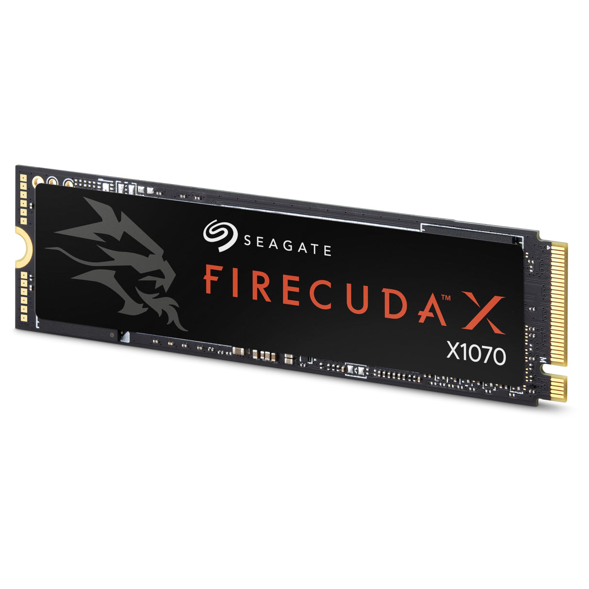 Seagate FireCuda X1070 4TB Internal SSD - M.2 PCIe Gen4 NVMe (ZP4000GS3A001)