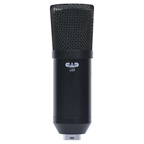 CAD Audio U29 USB Side Address Studio Microphone