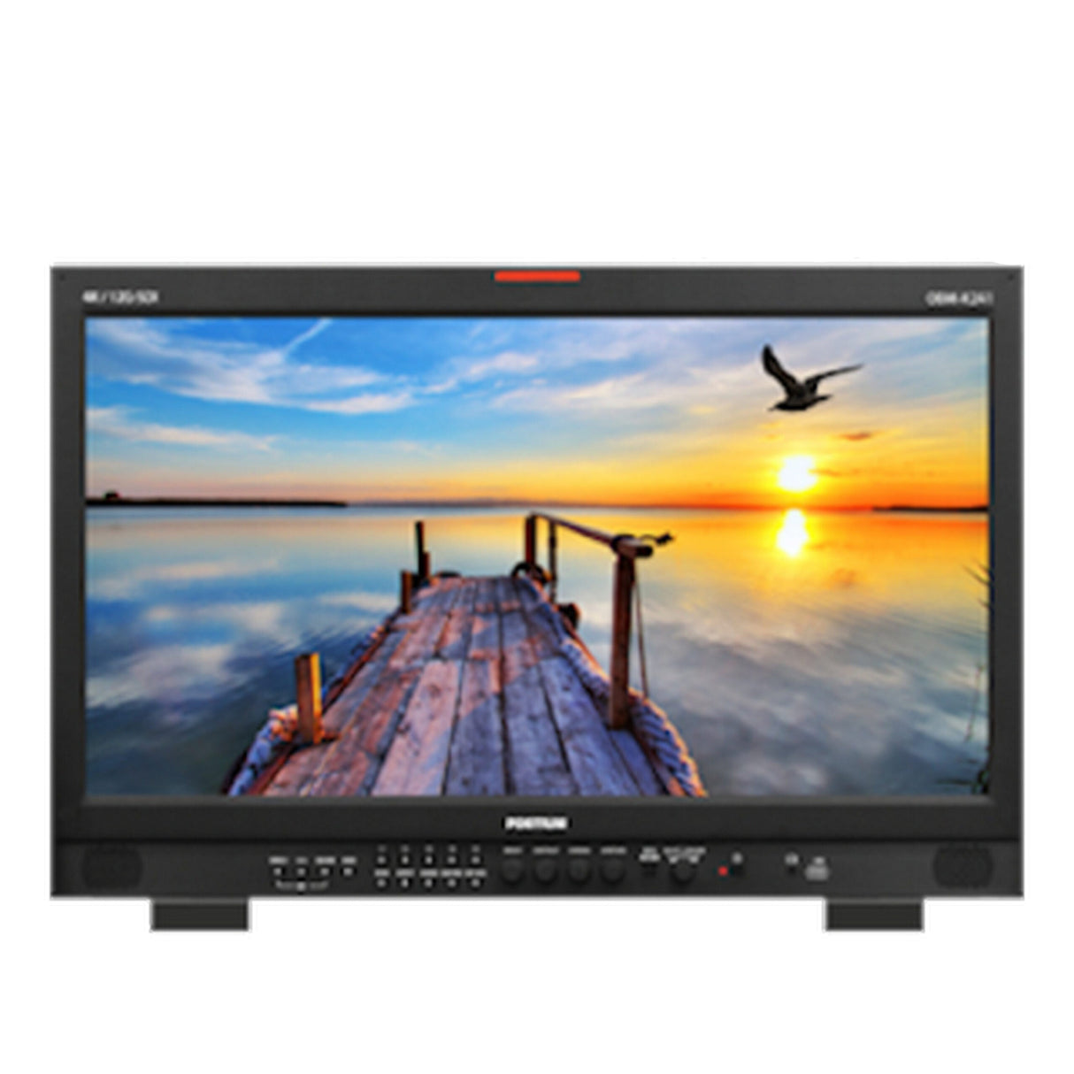 Postium OBM-X241 24-Inch GRADE 2 Reference HDR Monitor