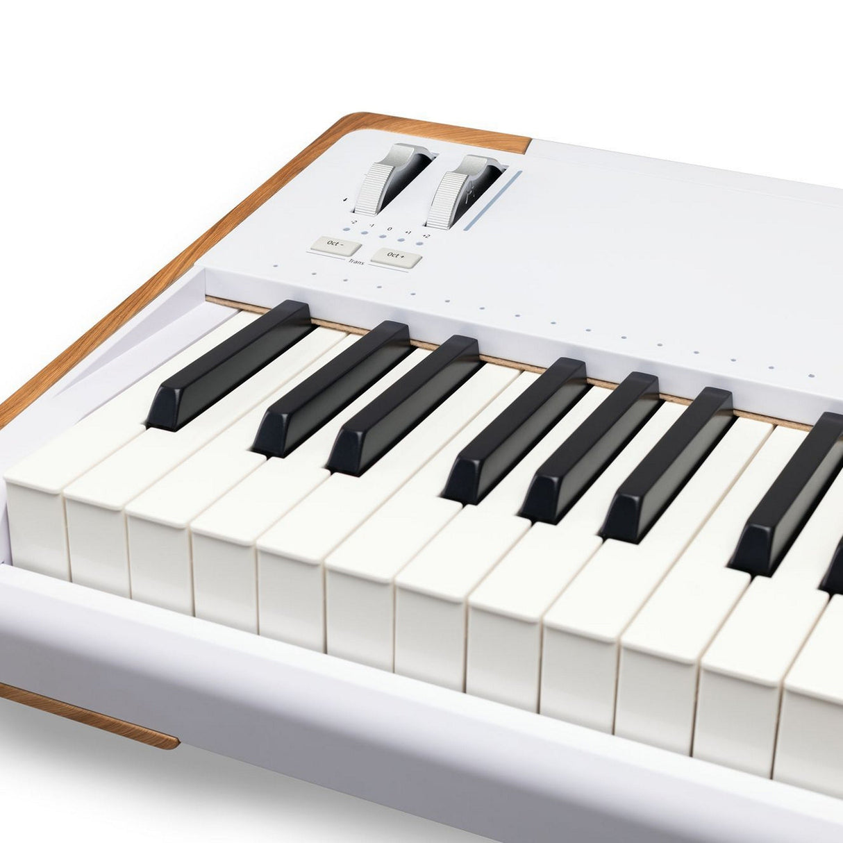 Arturia AstroLab88 88-Key Avant-Garde Stage Keyboard