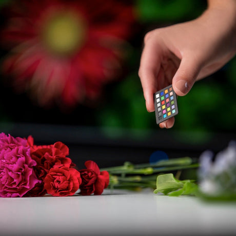 Calibrite ColorChecker Classic NANO for Capture and Editing Color Control