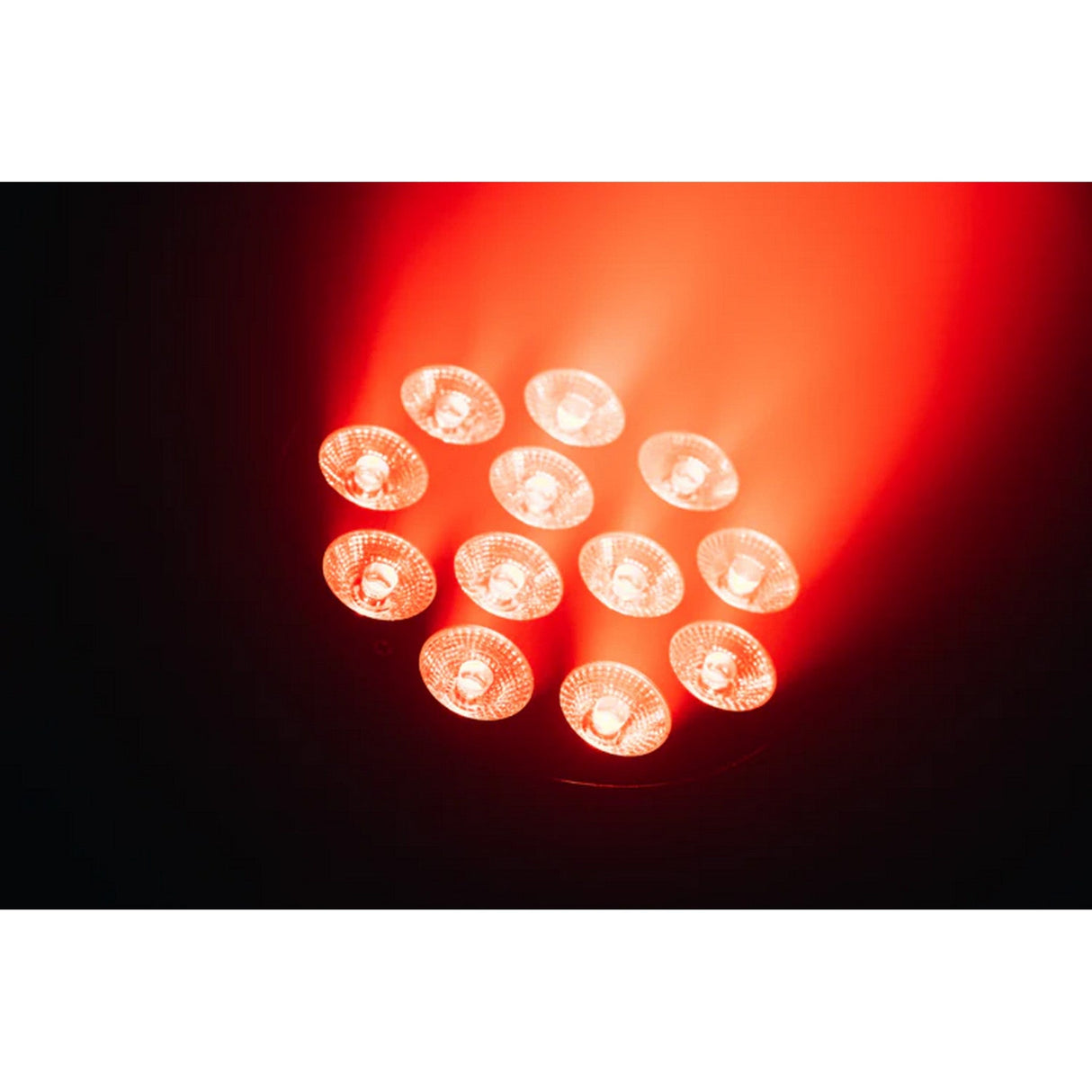Event Lighting PAR12X12L Indoor Lite RGBWAU LED Par