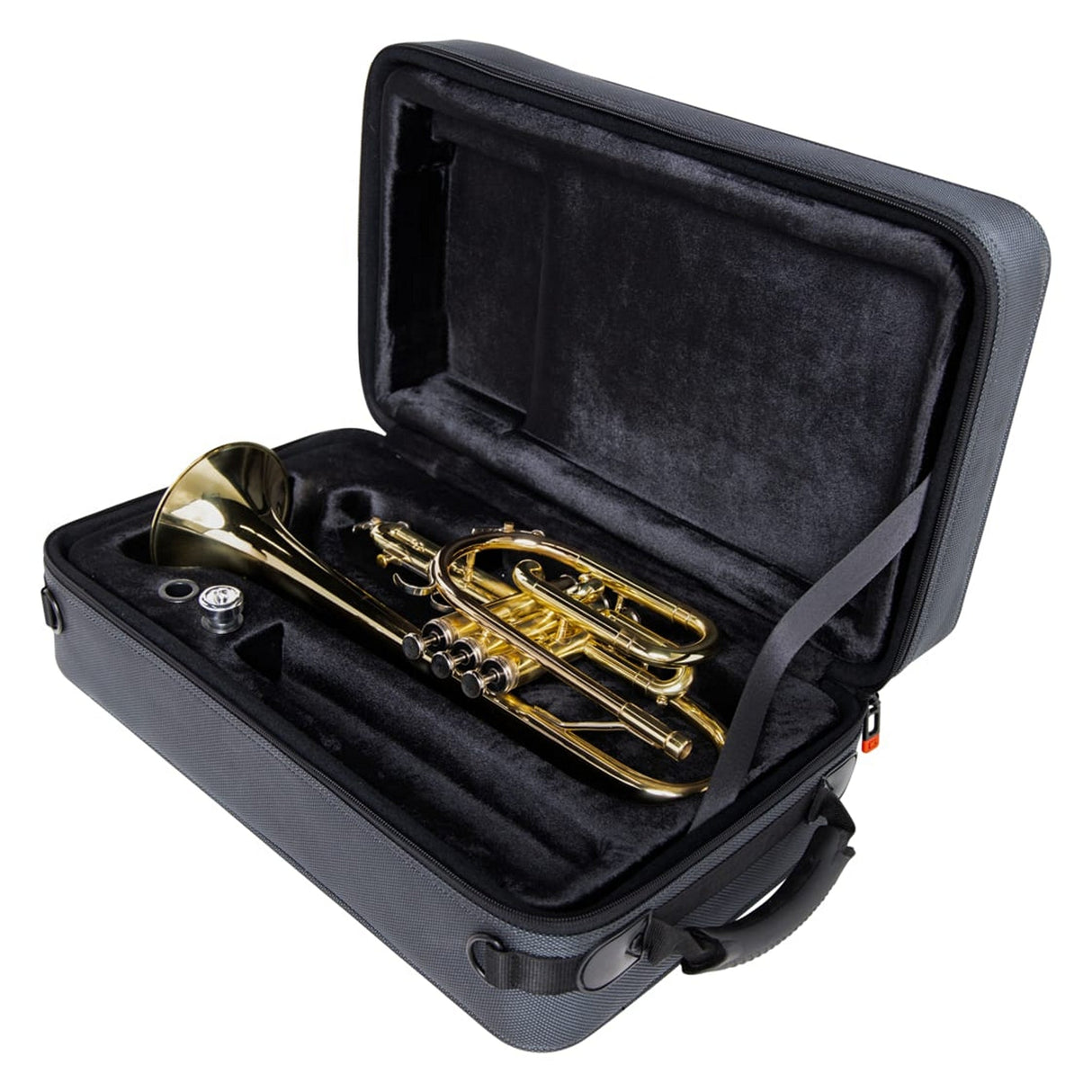 Gator GL-CORNET-23 Adagio Series Shaped EPS Polyfoam Lightweight Case for Cornet