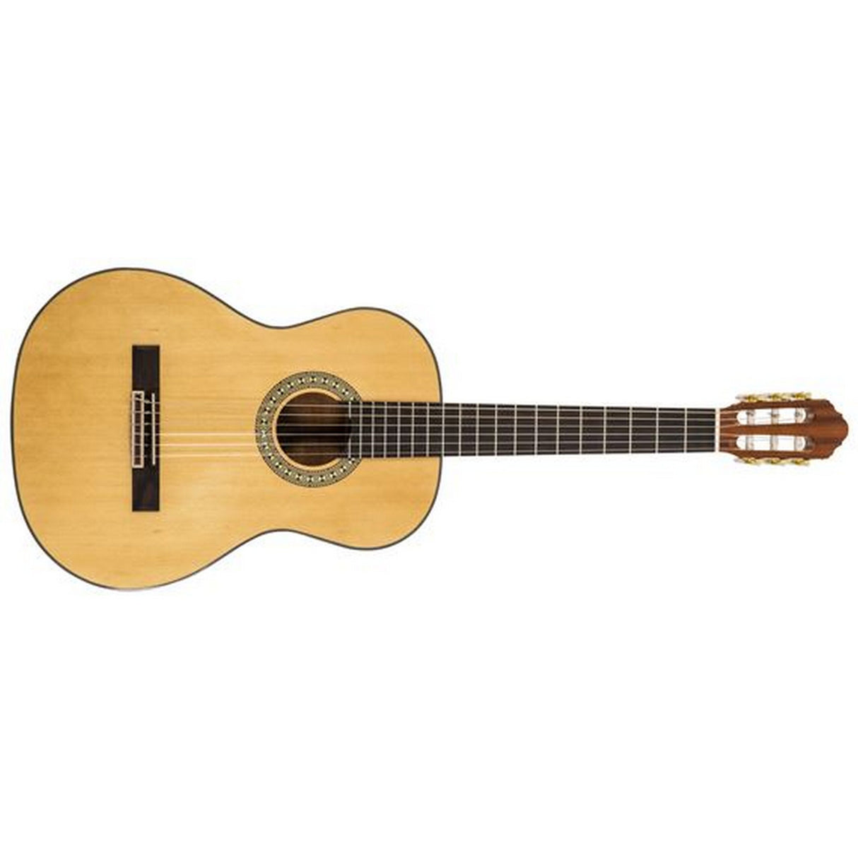 Peavey Delta Woods CNS-1 Classical Nylon String Guitar - guitar