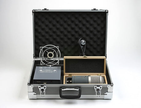 sE Electronics Z5600a II Multi-Pattern Condenser Tube Microphone