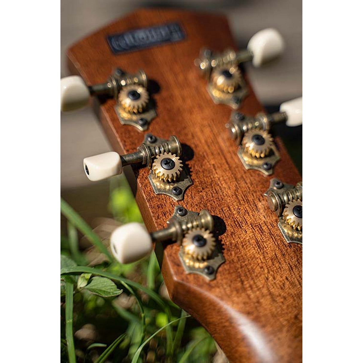 Cort CORE PE Acoustic-Electric Guitar Core Mahogany - guitar