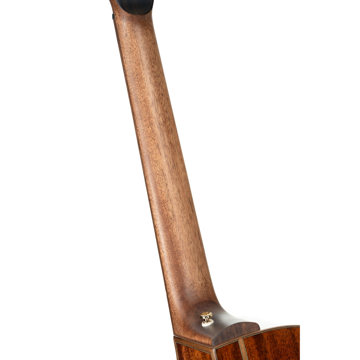 Cort Modern Burgundy Masterpiece Series Acoustic Electric Guitar