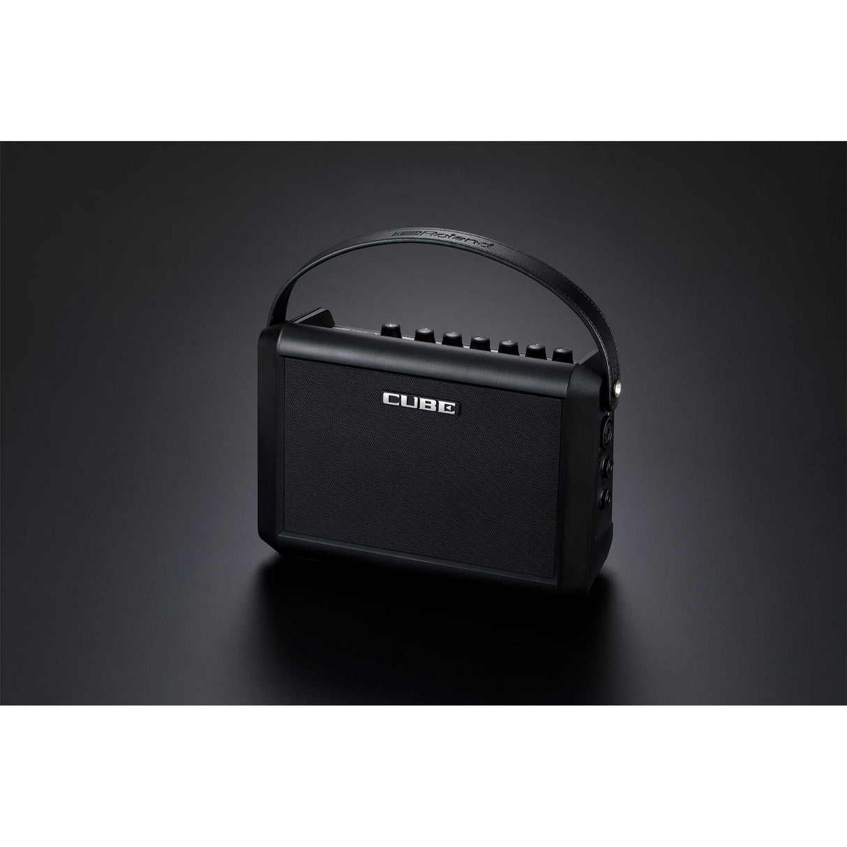 Roland CUBE Street II mini amplifier for busking