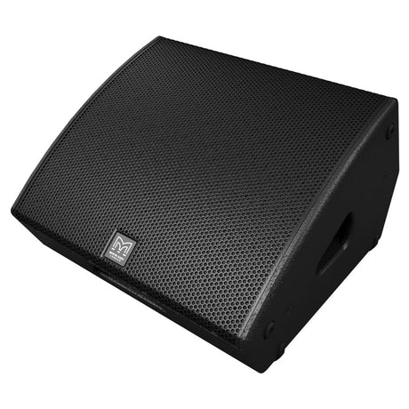 Martin Audio LE100 12-Inch Passive Coaxial Differential Dispersion Stage Monitor