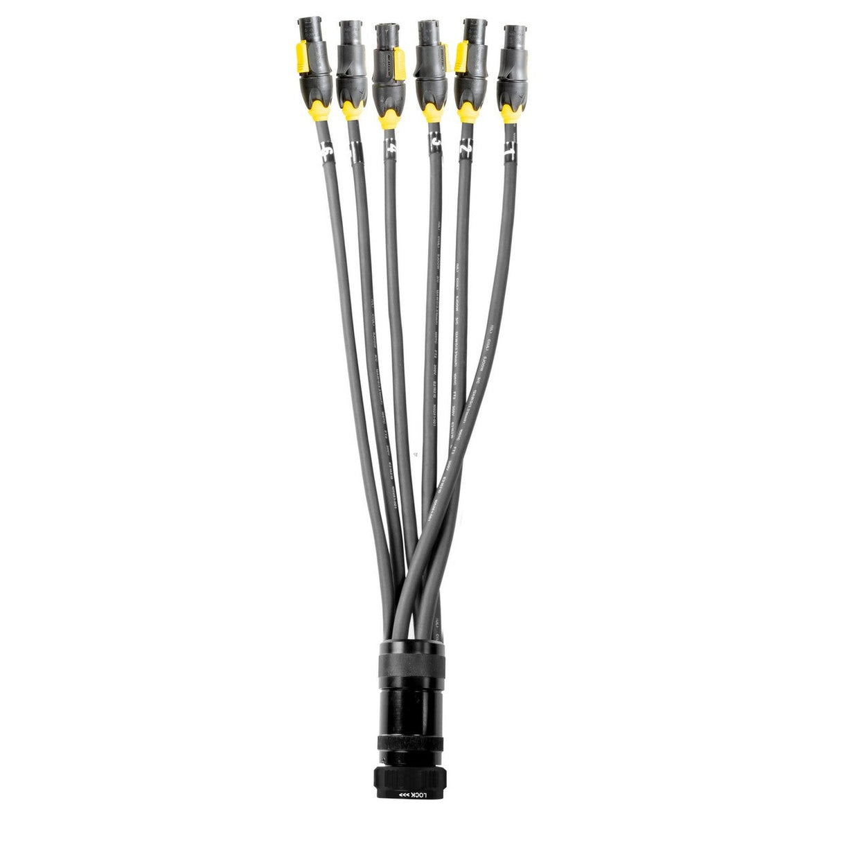Elite Core 19 Pin Soco Breakout to Female True1 Lighting Power Cable with Phase 3 Spider Connector 5 Foot