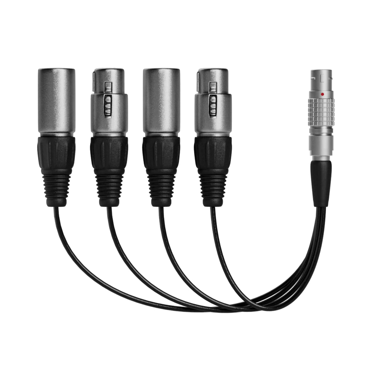 Atomos Lemo to XLR Breakout Cable