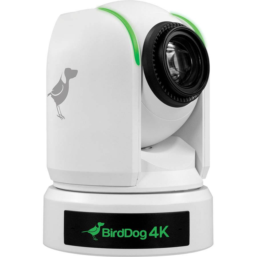 BirdDog P4K white 4K PTZ camera for live production and NDI workflows
