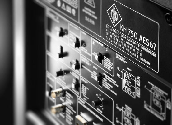 Neumann KH 750 AES67 DSP Controlled Subwoofer with Redundant AES67 Connectivity for KH line studio monitors