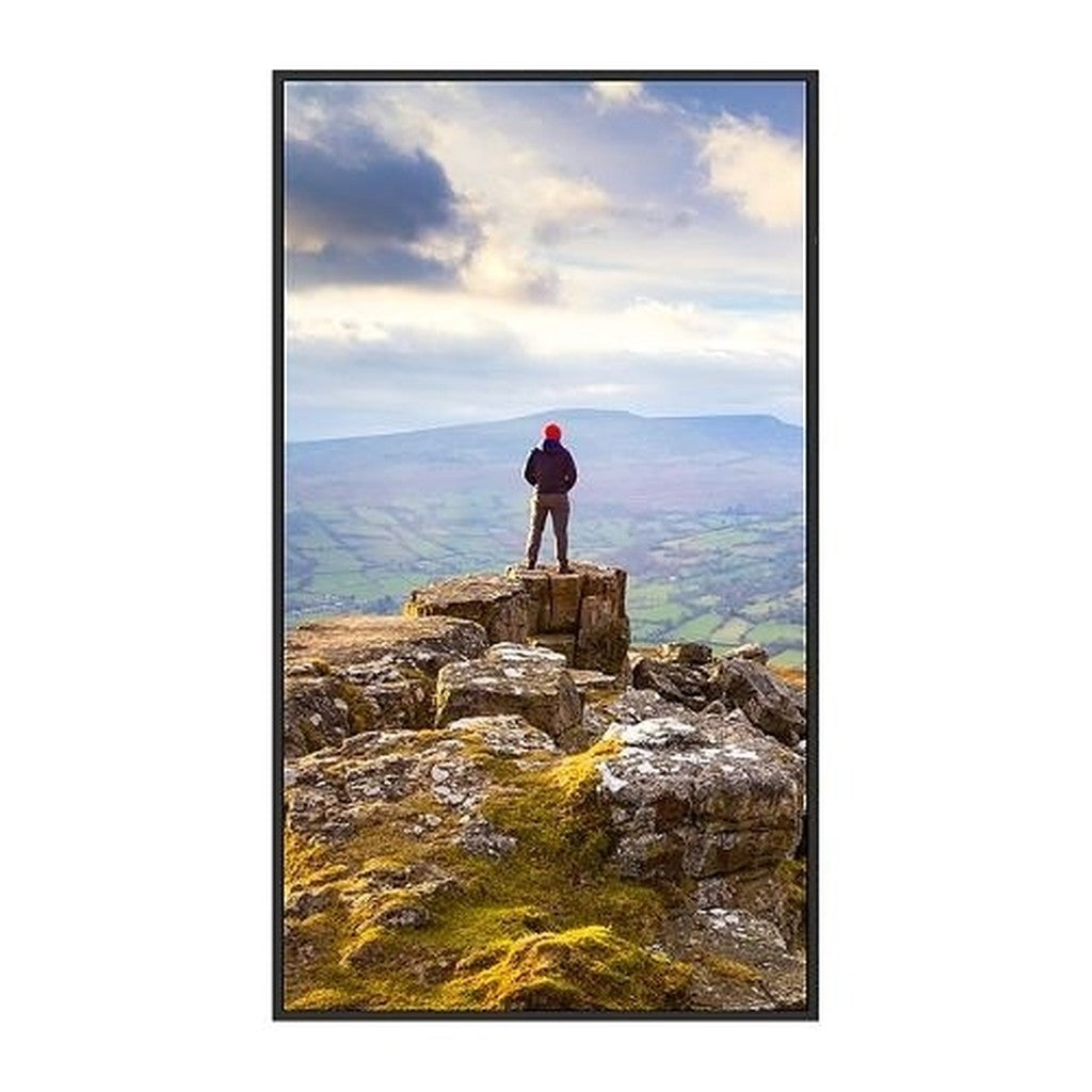 Sharp NEC PNE759 75-Inch 4K UHD Professional Display
