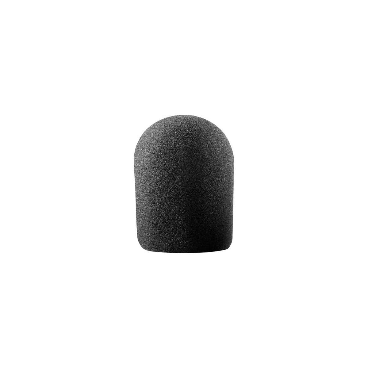 Audio-Technica AT8137 Large Studio Foam Windscreen for Case Style R1 R5 and R7