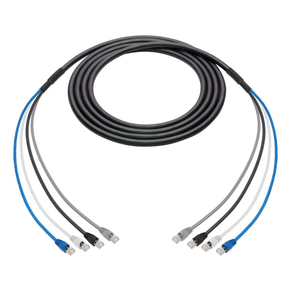 Laird 4C6SNK-300 4-Channel Belden Cat6 Ethernet Cable 300 Foot