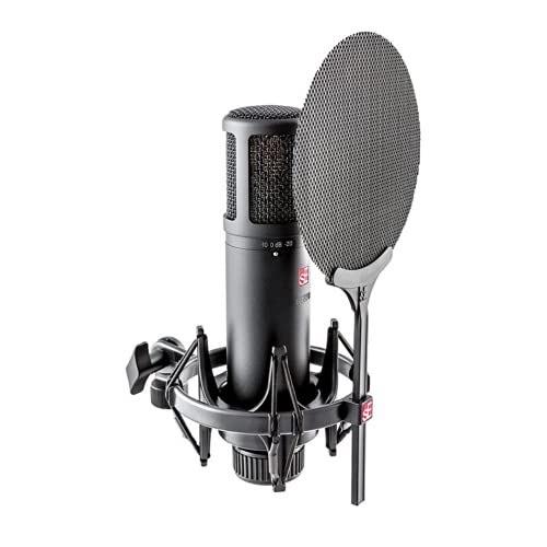 sE Electronics sE2200 Large Diaphragm Cardioid Condenser Microphone