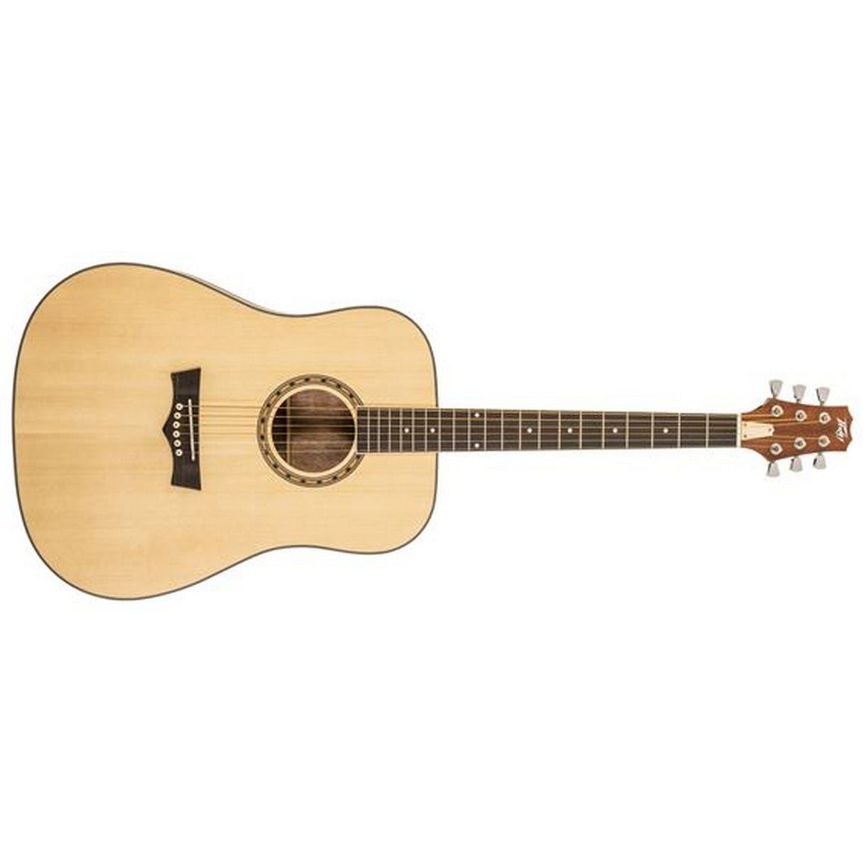 Peavey Delta Woods DW-1 Acoustic Guitar with Bag - guitar