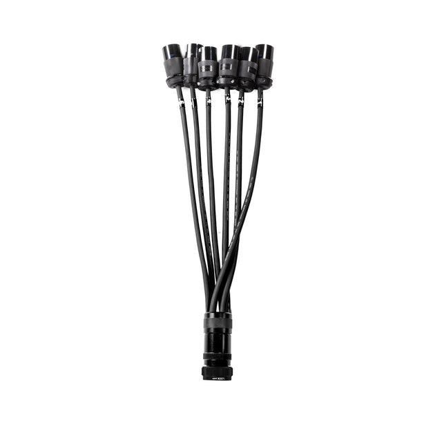 Elite Core 19 Pin Soco Breakout to L6-20 Female Lighting Power Cable with Phase 3 Spider Connector 5 Foot