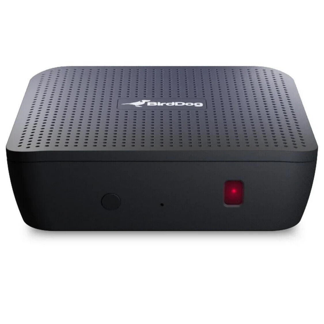 BirdDog Play 4K NDI Player