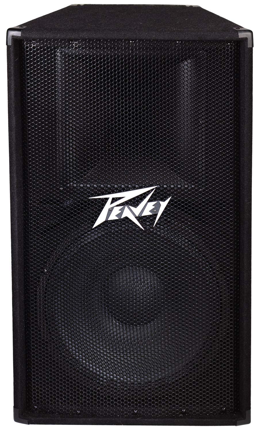 Peavey PV 115 2-Way Speaker 15 Inch