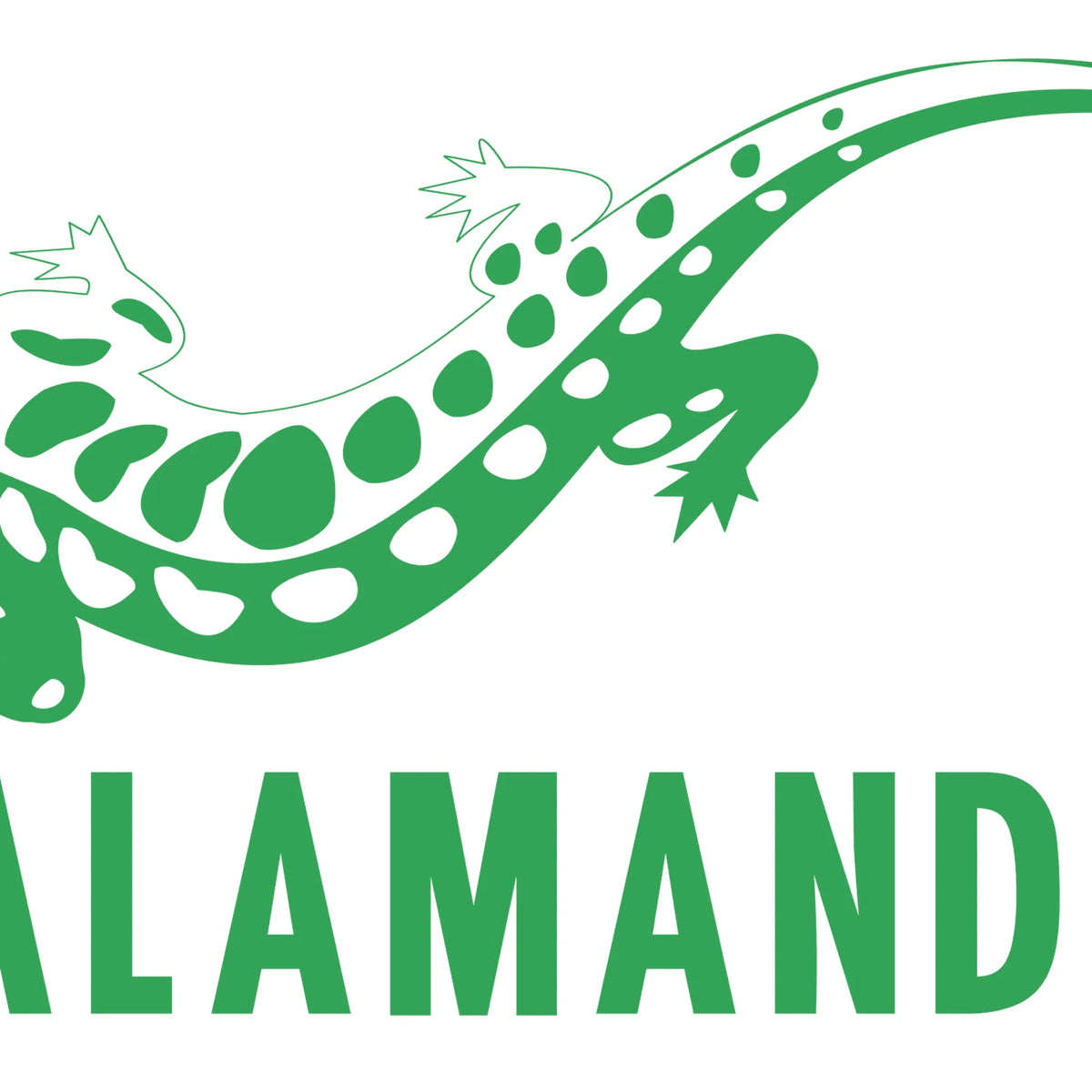 Salamander Design – AVLGEAR