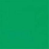 ADJ Z-PROGEL-SH-G Green Pro Gel Sheet