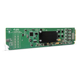 AJA OG-12G-AMA openGear 12G-SDI Analog Audio Embedder/Disembedder with Rear Module