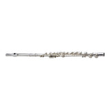 Antigua FL2110SL-U Closed Hole Flute C-Key Silver Plated