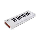 Arturia MicroLab mk3 Universal MIDI Controller