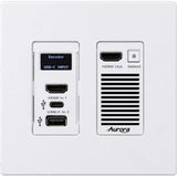 Aurora Multimedia VPX-TC1-WP2-PRO 4K60 AV-over-IP Wall Plate