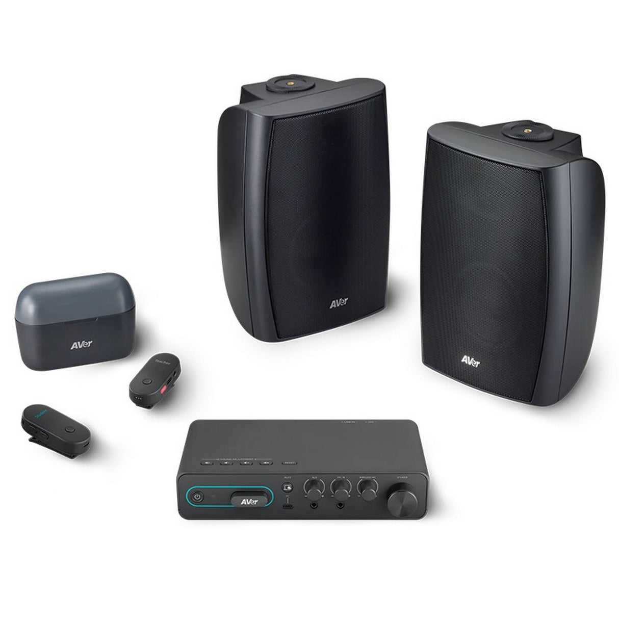 AVer AmpliWave SAA5 Wireless Instructional Audio System