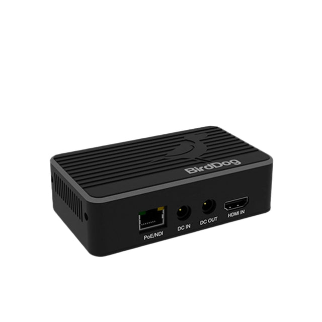 BirdDog Flex 4K In Full NDI Encoder