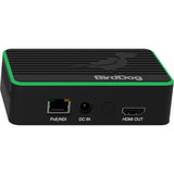 BirdDog Flex 4K Out Full NDI Encoder