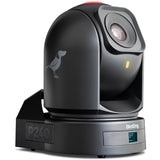 BirdDog P240B 1080P Full NDI PTZ Camera Black