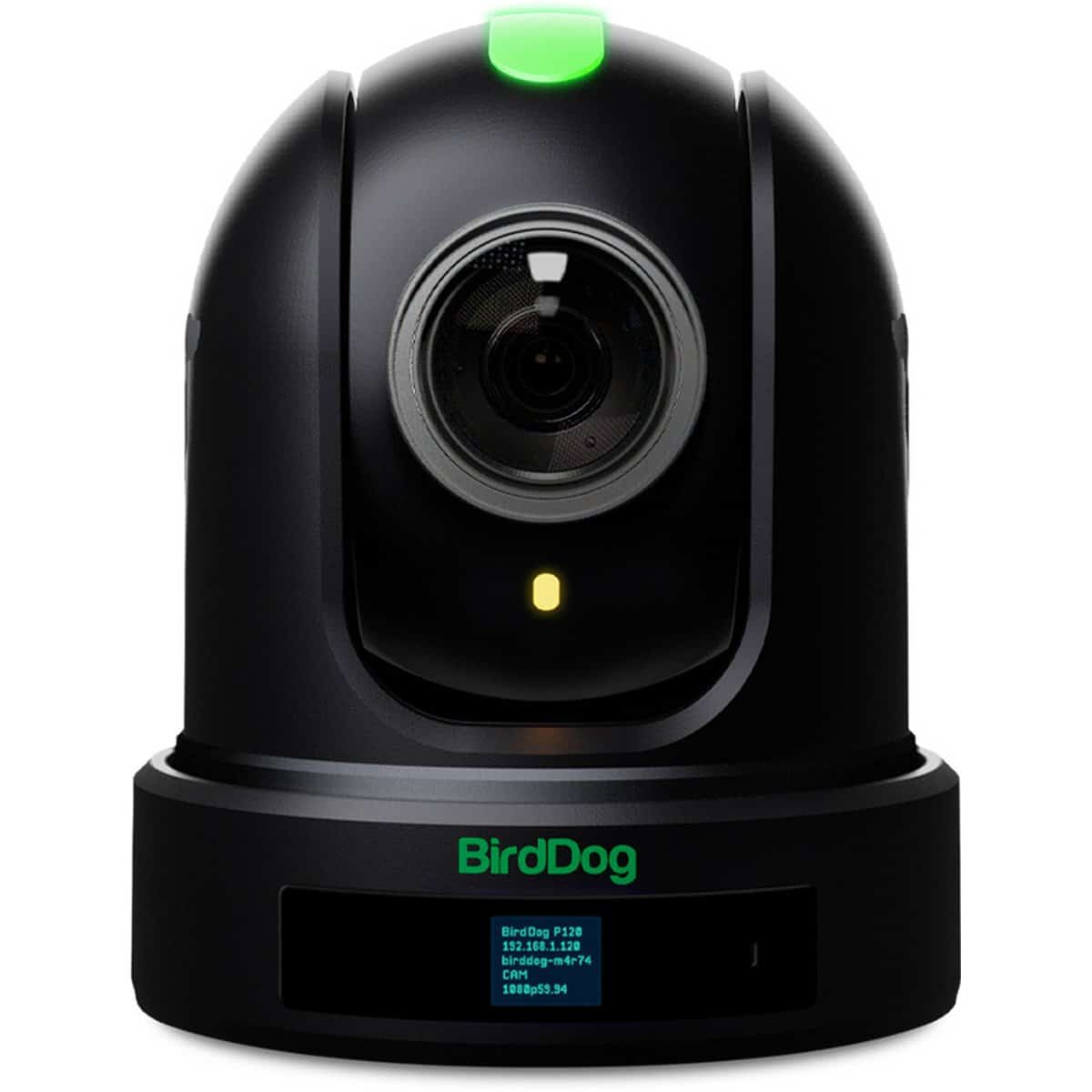 BirdDog P120 1080p Full NDI PTZ Camera with 20x Optical Zoom, Black