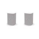 Bose Professional DesignMax DM5SE Surface-Mount Loudspeakers (Pair)