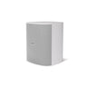 Bose Professional DesignMax DM12SE 12-Inch Surface-Mount Loudspeaker