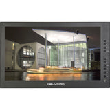 Delvcam DELV-3GHD-17IRM Fixed 17.3 inch Rackmount LCD Monitor