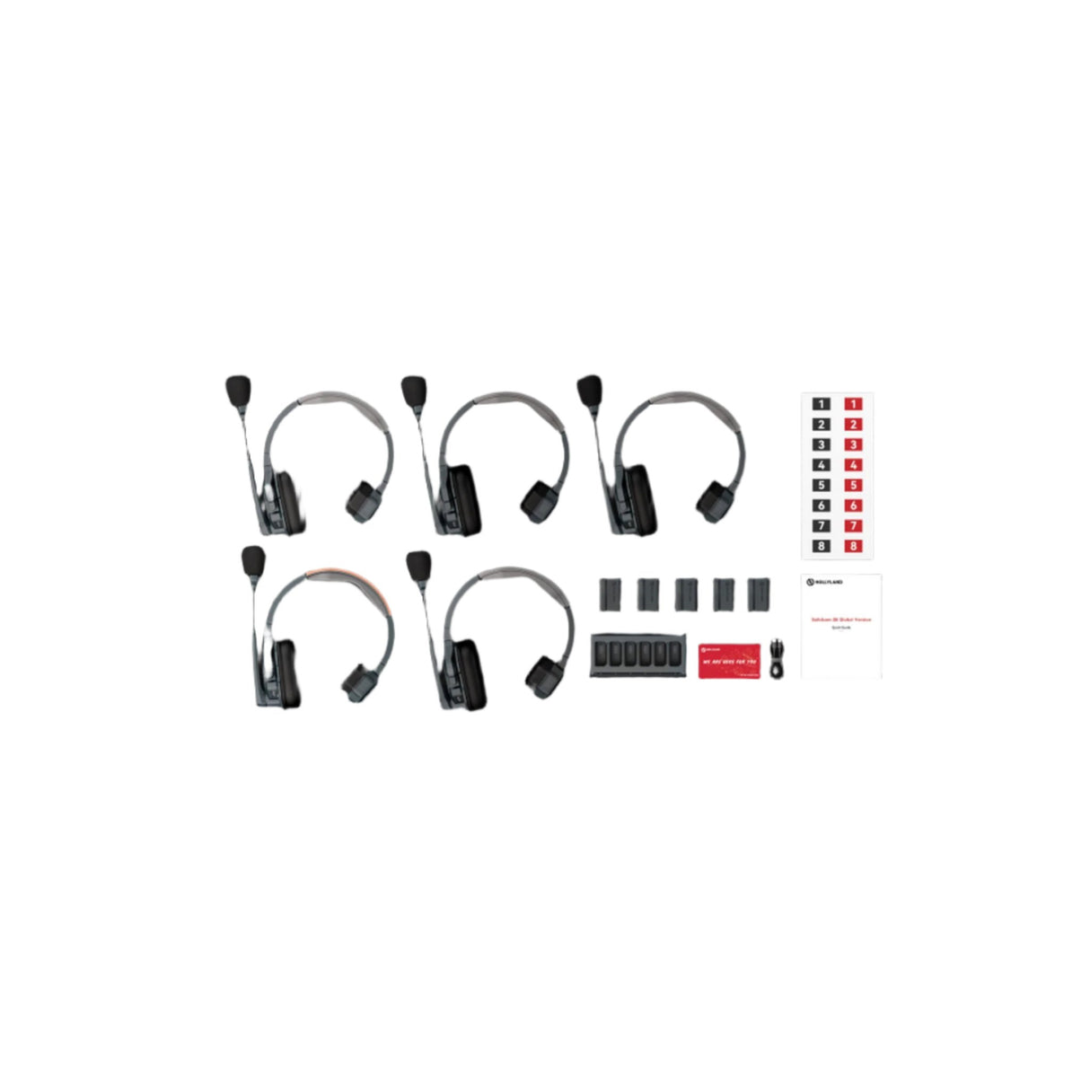 Hollyland Solidcom SE Full-Duplex Communication System, Global Version