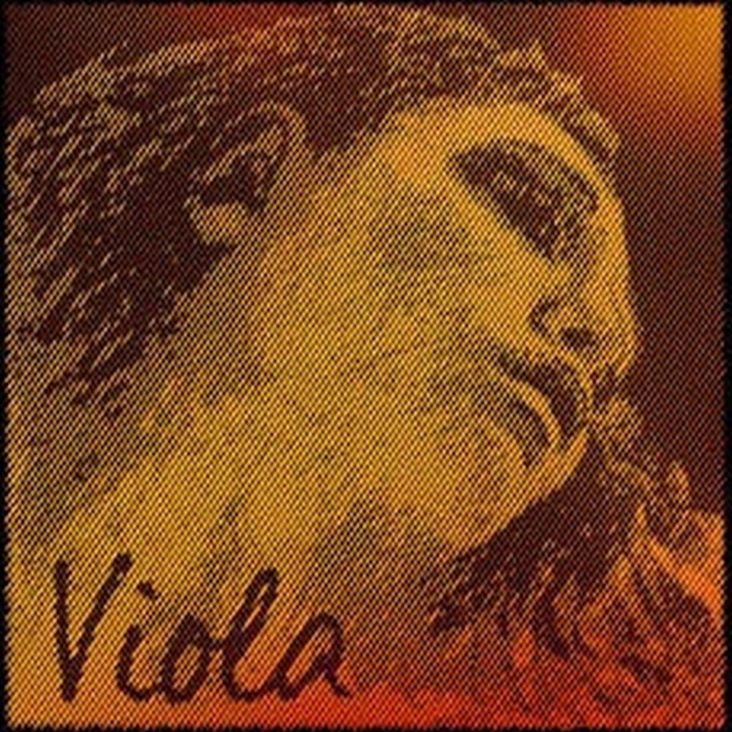 Pirastro 1EPGLD Evah Pirazzi Gold Viola D String, Silver-Wound, 4/4, Medium