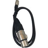 Remote Audio BDSCHX4F 4-Pin Hirose Male to XLR4F BDS Power Cable 24 in