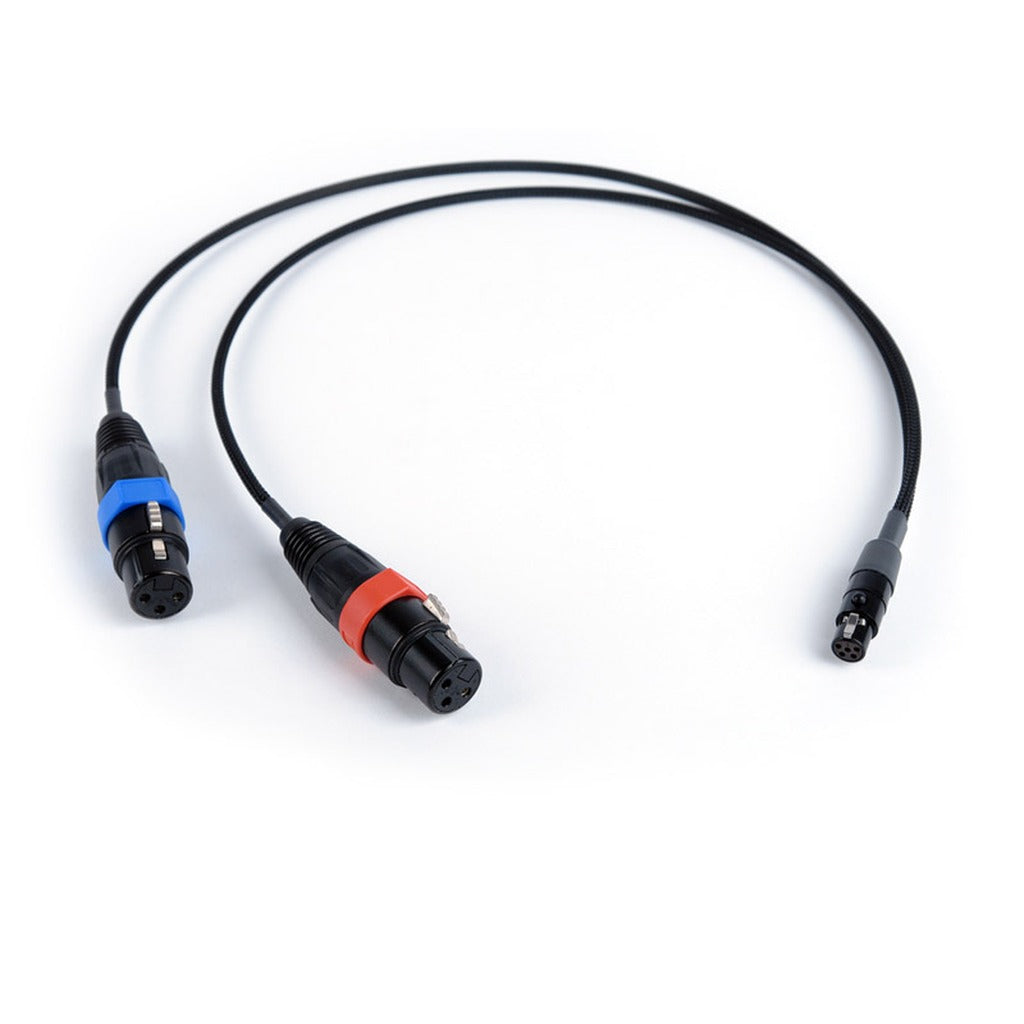 Remote Audio CA2X3FT5F18 Dual XLR3F to TA5F Balanced Stereo Breakout 18 in