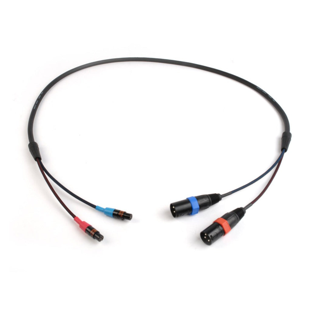 Remote Audio CA744XLRLO Dual TA3F to Dual XLR3M 2-Channel Balanced Cable 4 ft