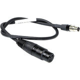 Remote Audio CALECAES AES3 XLR3F to TA6F Cable for Lectrosonics DCHT 18 in