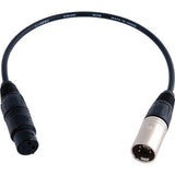 Remote Audio CAMHDX900 XLR3F to XLR5M Mono to Stereo Balanced Adapter 11 in